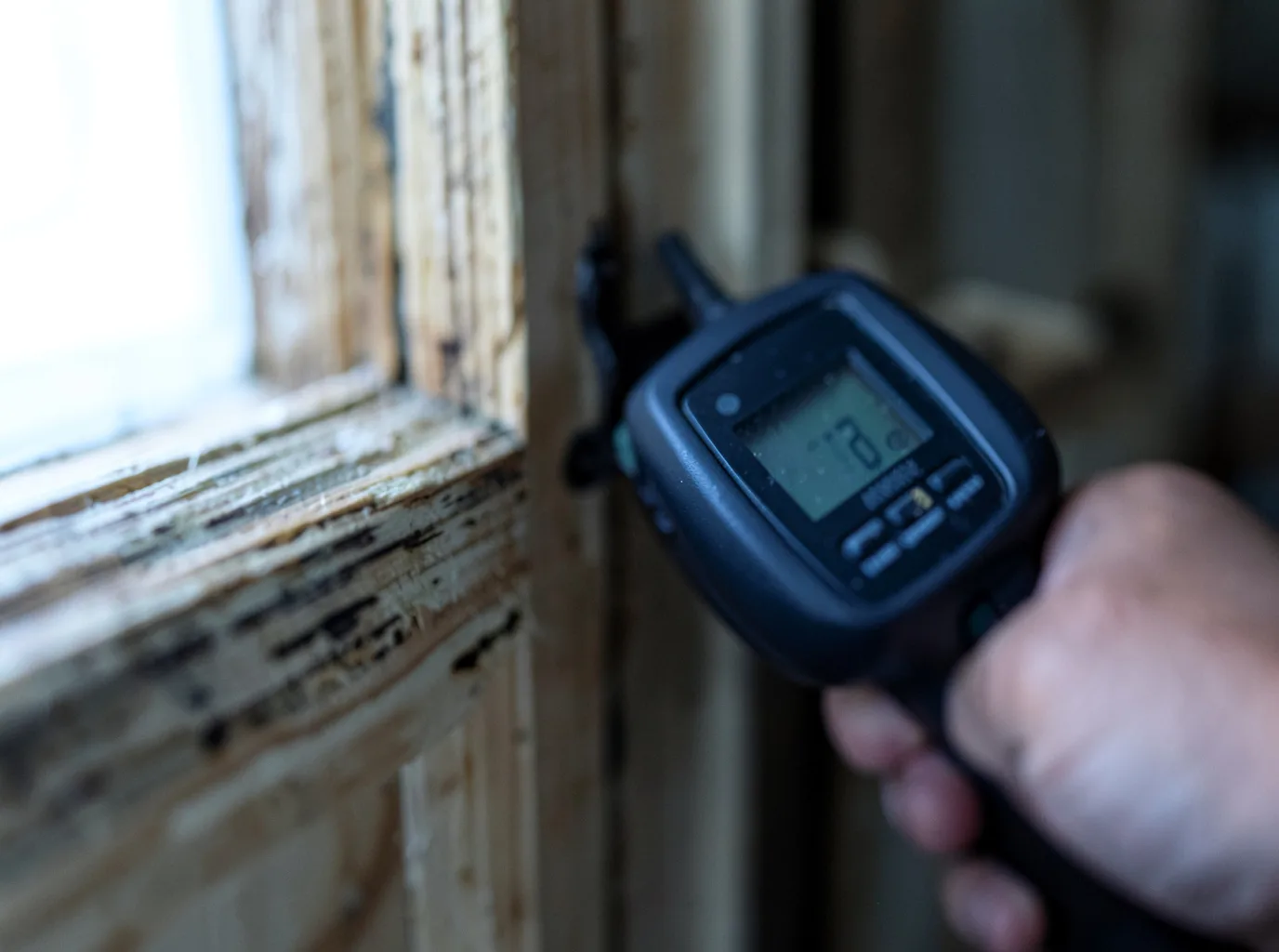 Moisture Inspection And Documentation in Garden City, MN